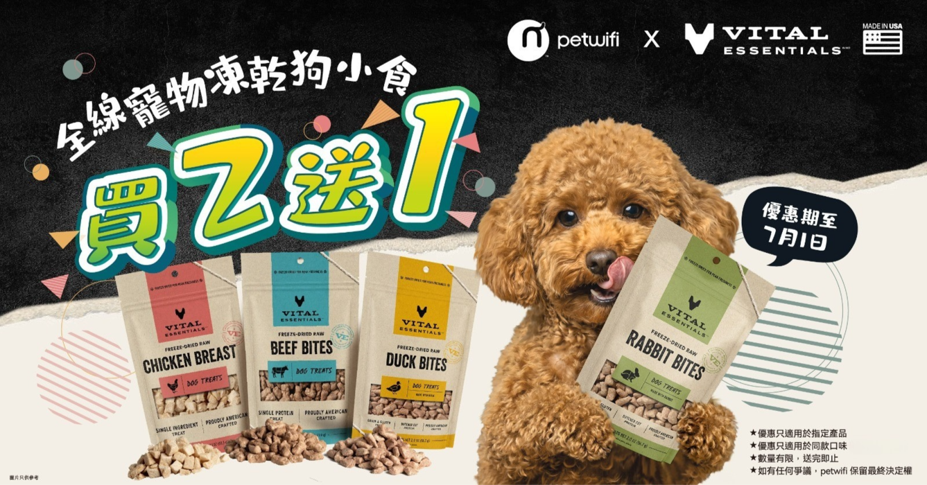 VE小食